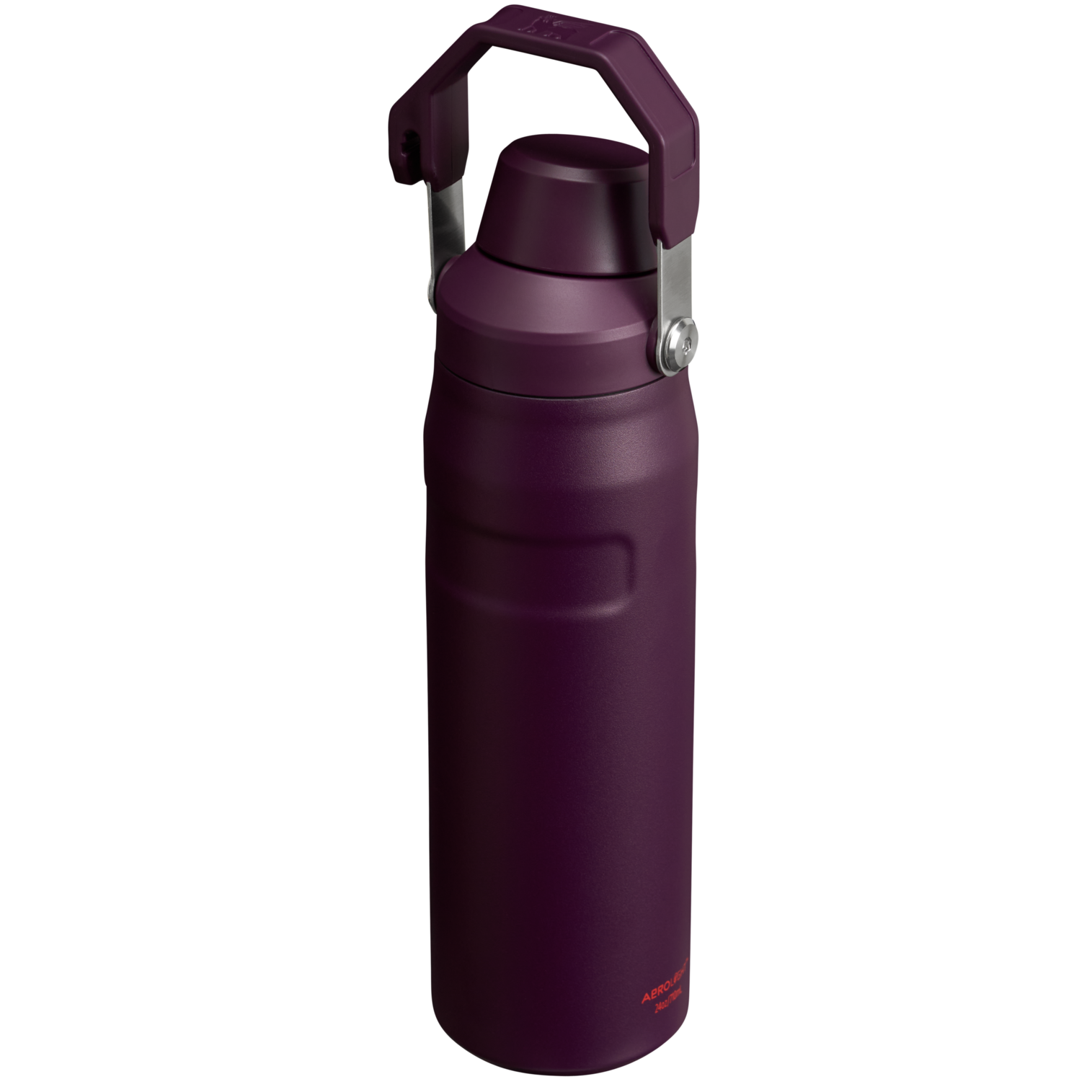 IceFlow™ Bottle with Fast Flow Lid | 24 OZ - Image 38